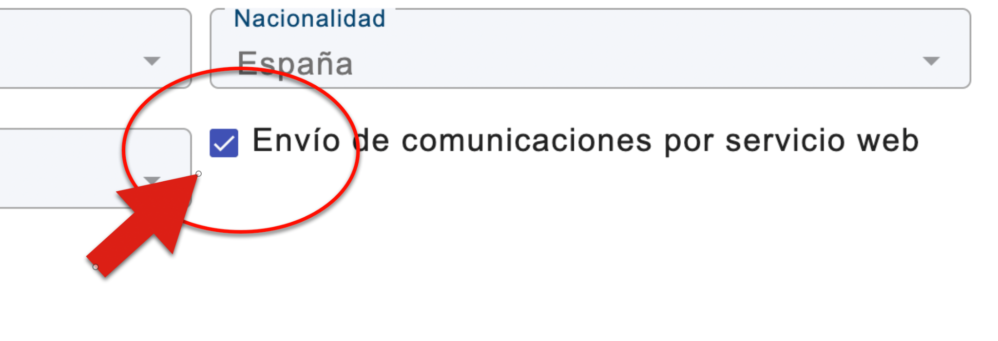 Detalle de la casilla que activa el envío por servicio web